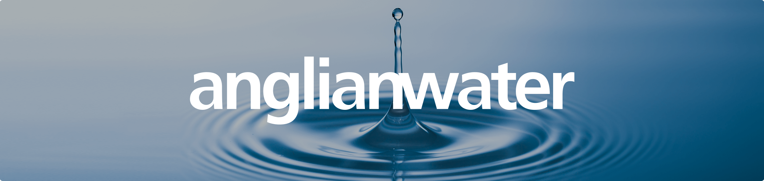 3 Utility Companies Seeing Success With Runmyjobs 2 Anglian Banner 2